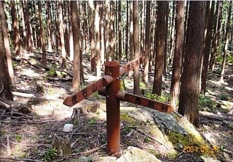 馬越峠への分岐