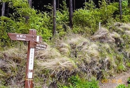 四寸岩山・山上ヶ岳登山口