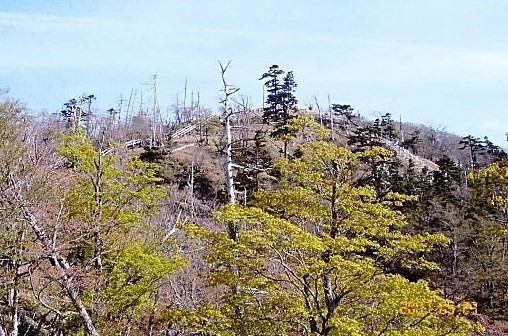 展望台→日出ヶ岳「大台ヶ原山」