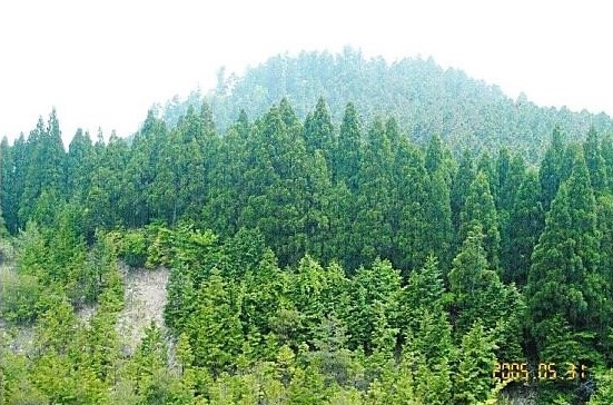 愛宕山・山頂より