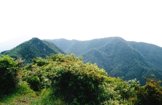 十二ヶ岳～これから向かう中ノ岳→小野子山を望む