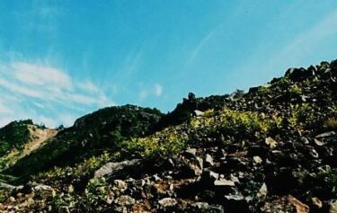 東籠ノ登山・水ノ塔山（長野・群馬）｜高山植物の楽園の山旅へGO！その種類は１２００種類？