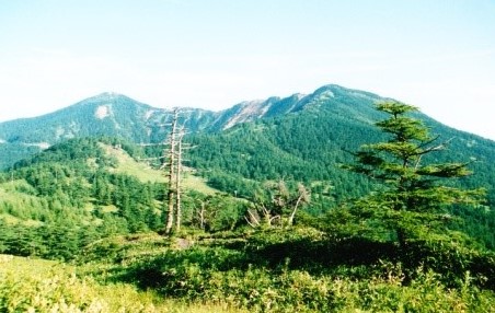 東籠ノ搭山　赤ザレ　水ノ搭山