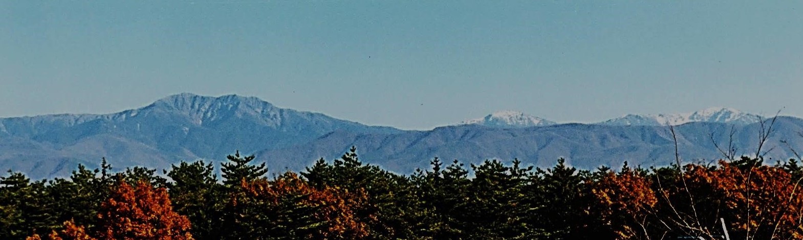 山伏～大きな山体の青笹山　背後に聖岳・赤牛岳　手前の枯れ木はキクイムシの被害
