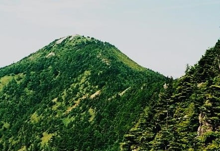 赤ザレの頭～東籠ノ登山を望む